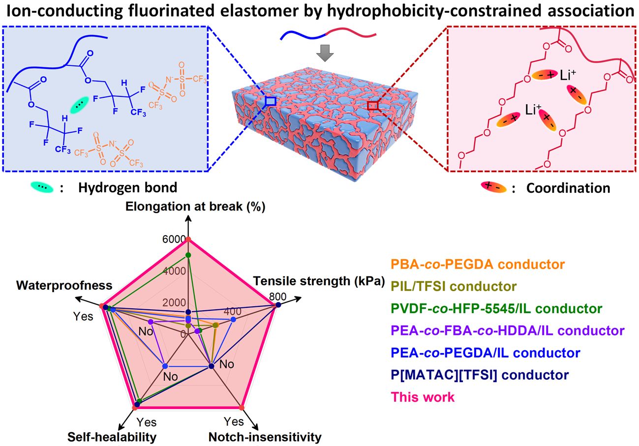 A waterproof ionconducting fluorinated elastomer with 6000