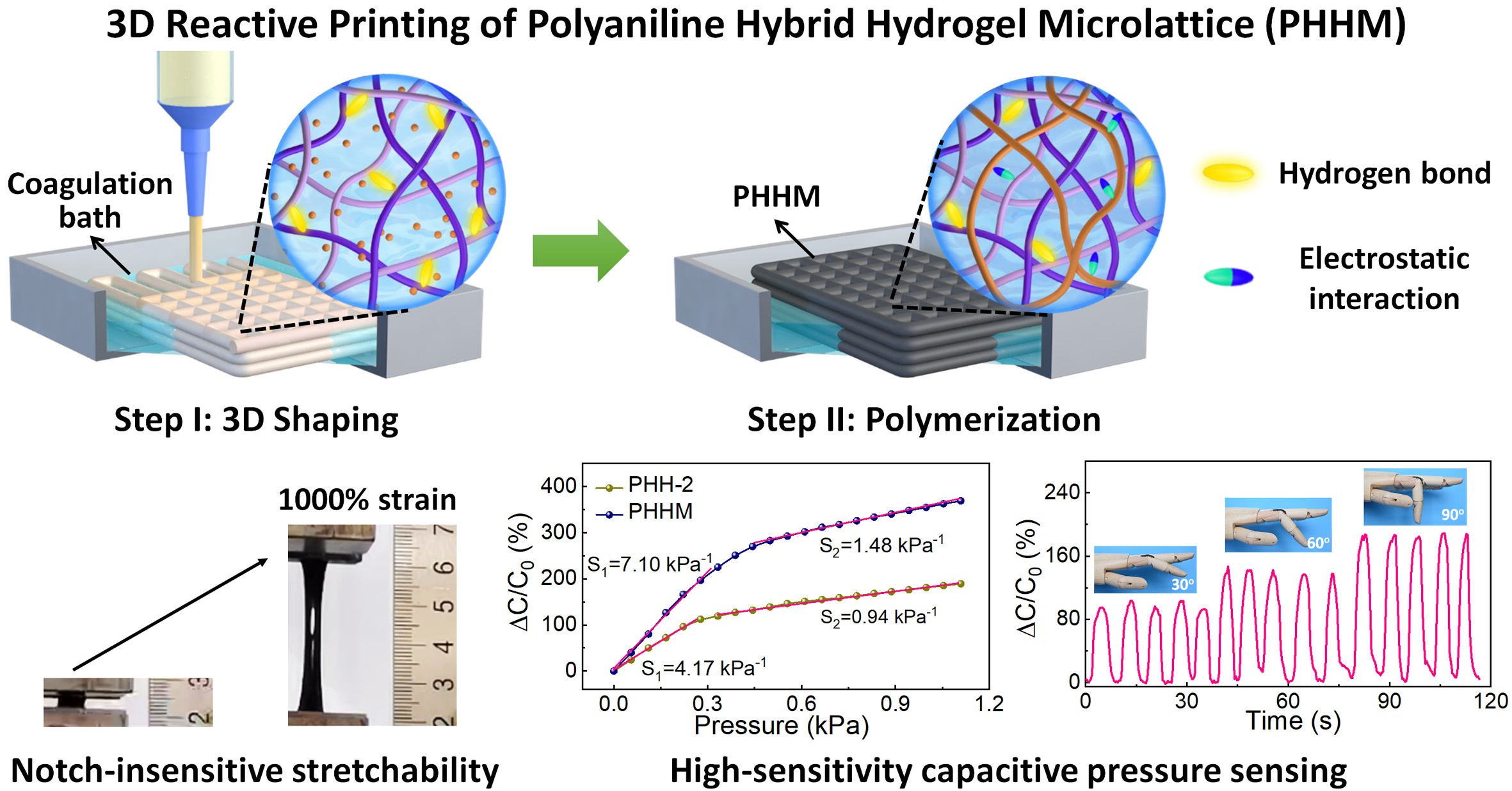 3D Reactive Printing Of Polyaniline Hybrid Hydrogel Microlattices With ...