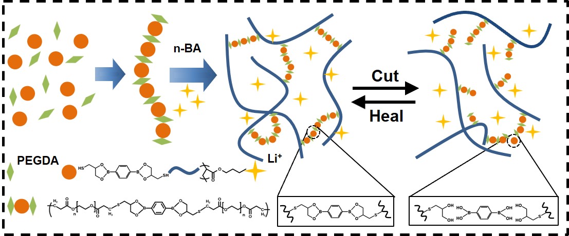 Highly Stretchable, Soft, Low-hysteresis, And Self-healable Ionic ...