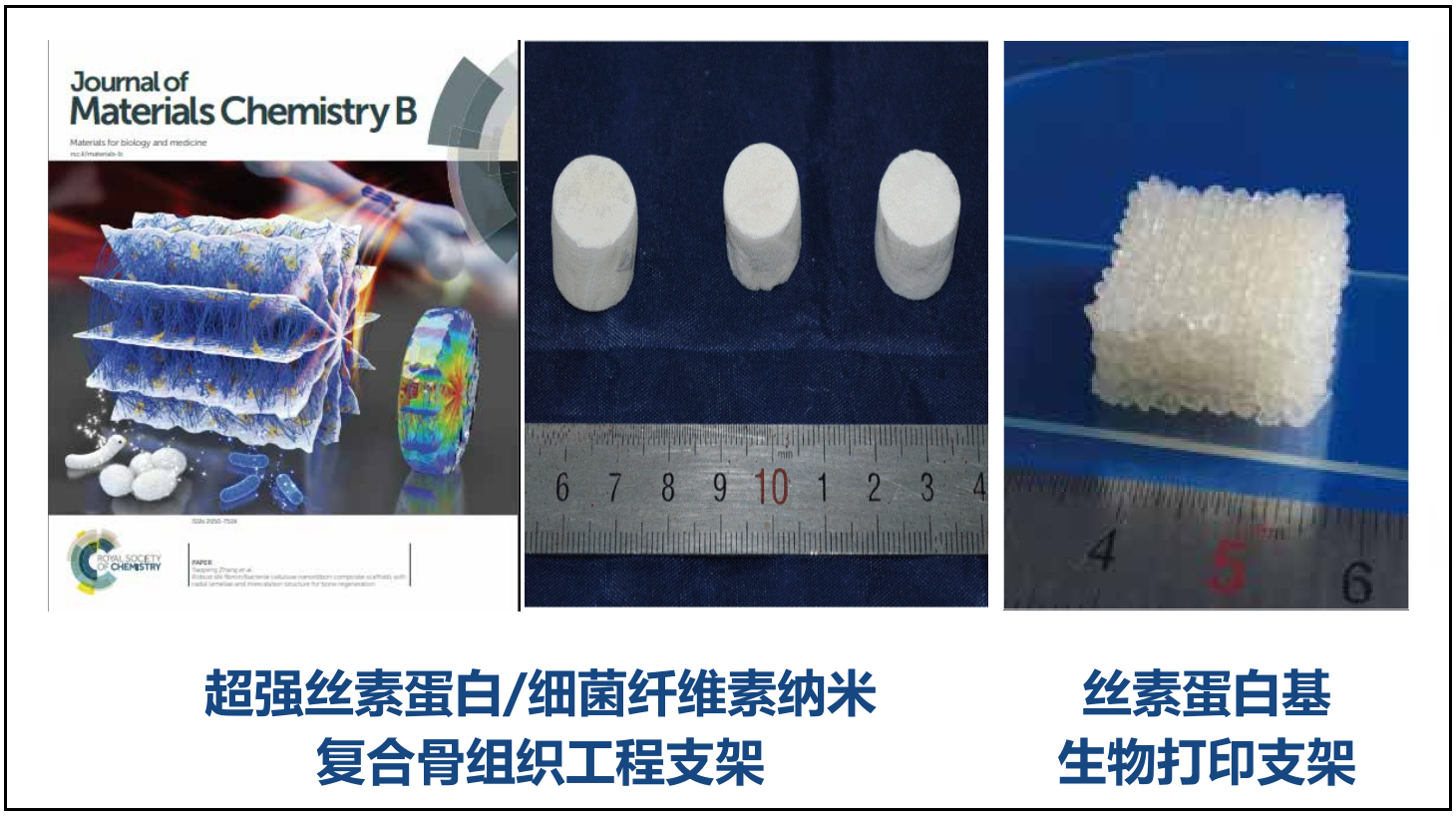 丝素蛋白三维仿生支架