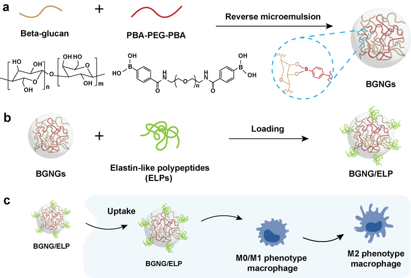2026年3月，博士生张子文的...